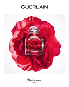 Súťaž o Bloom of Rose od značky Guerlain